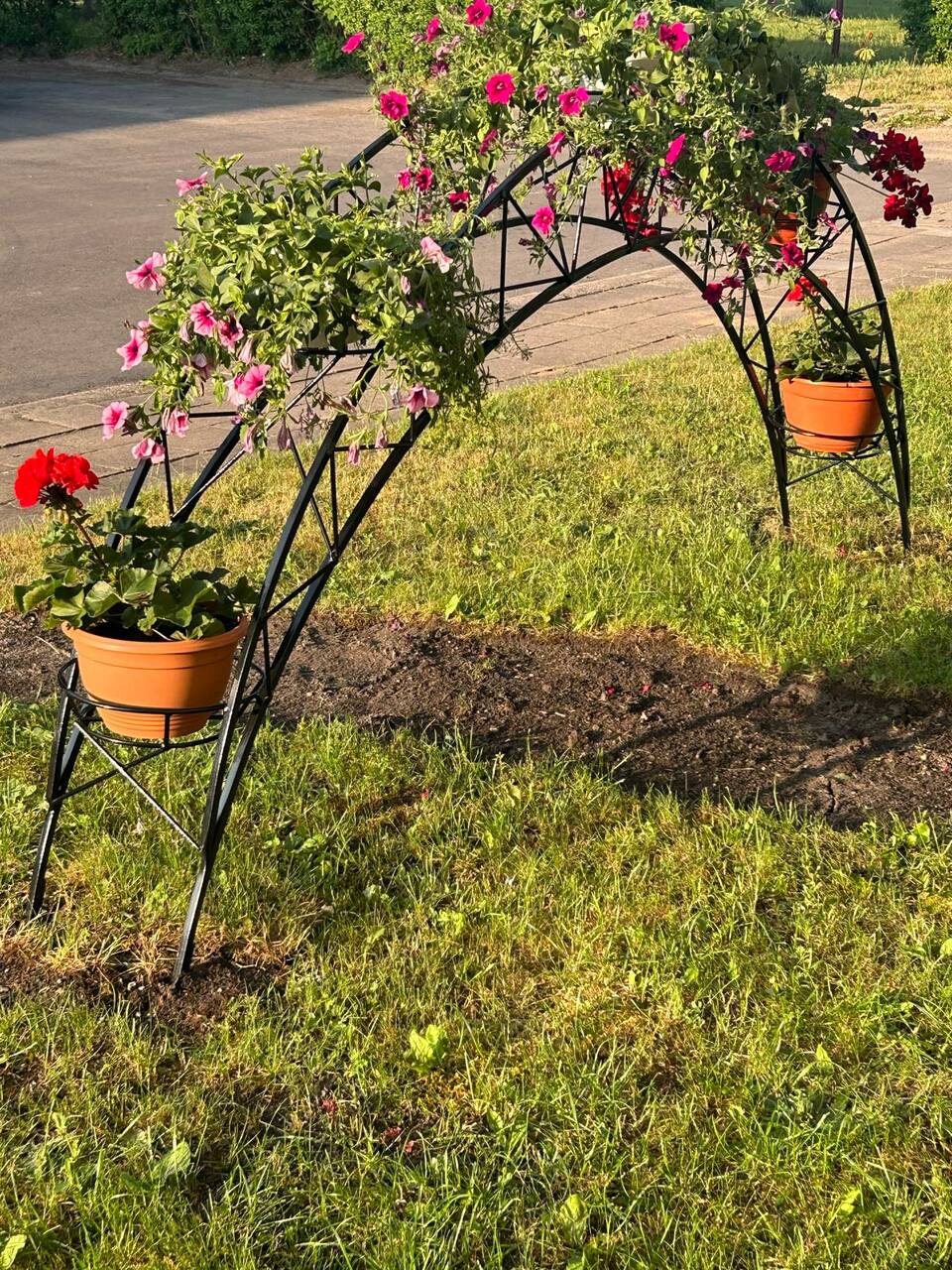 Hagebue i sort metall med klatreplanter